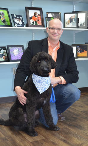 Testimonials for AllDogs Inc.