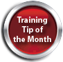 dog training tips